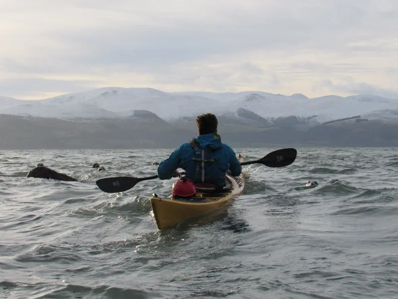 2024 PH Scorpio Expedition Sea Kayak with Skudder in Lizard Green-1